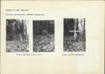 KC - Karta cmentarza, skan nr 5