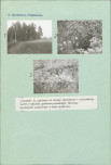 KC - Karta cmentarza, skan nr 4