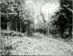 Karta cmentarza, skan nr 4