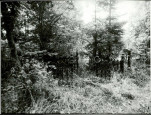 Karta cmentarza, skan nr 6