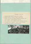 KC - Karta cmentarza, skan nr 5