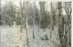 Karta cmentarza, skan nr 7