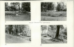 Karta cmentarza, skan nr 8