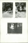 Karta cmentarza, skan nr 9