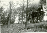 Karta cmentarza, skan nr 6