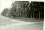 Karta cmentarza, skan nr 4