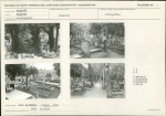 Karta cmentarza, skan nr 5
