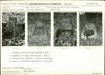 Karta cmentarza, skan nr 5