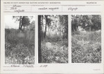 Karta cmentarza, skan nr 5