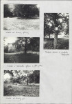 Karta cmentarza, skan nr 4