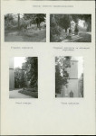 Karta cmentarza, skan nr 6