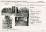 Karta cmentarza, skan nr 6