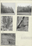 Karta cmentarza, skan nr 5
