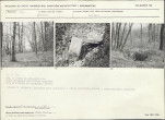 Karta cmentarza, skan nr 6