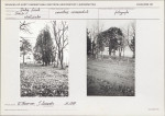Karta cmentarza, skan nr 5