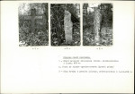 Karta cmentarza, skan nr 6