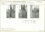 Karta cmentarza, skan nr 5