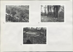 Karta cmentarza, skan nr 6
