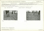 Wkładaka/załącznik, skan nr 1