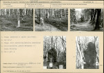 Karta cmentarza, skan nr 5