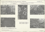 Karta cmentarza, skan nr 5