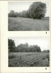 Karta cmentarza, skan nr 5