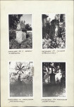 Karta cmentarza, skan nr 6