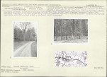 Karta cmentarza, skan nr 5