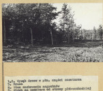 Karta cmentarza, skan nr 8