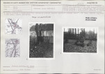Wkładaka/załącznik, skan nr 1