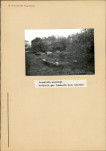 Karta cmentarza, skan nr 5