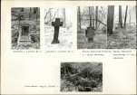 Karta cmentarza, skan nr 8