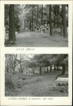 Karta cmentarza, skan nr 5