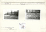 Karta cmentarza, skan nr 7