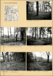 Karta cmentarza, skan nr 4