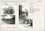 Karta cmentarza, skan nr 6