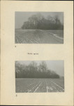 Karta cmentarza, skan nr 7