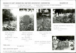 KC - Karta cmentarza, skan nr 6