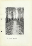 Karta cmentarza, skan nr 5