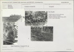 Karta cmentarza, skan nr 5