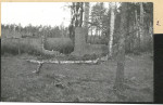 Karta cmentarza, skan nr 7