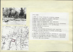 Karta cmentarza, skan nr 6