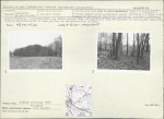 Karta cmentarza, skan nr 5
