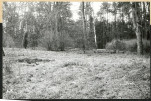 Karta cmentarza, skan nr 5