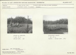Karta cmentarza, skan nr 9