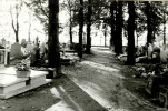 Karta cmentarza, skan nr 5