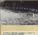 Karta cmentarza, skan nr 6