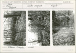 Karta cmentarza, skan nr 5