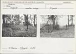 Karta cmentarza, skan nr 5