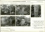 Karta cmentarza, skan nr 7